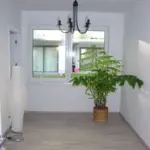 Helles Zimmer mit Zimmerpflanze im Hintergrund