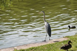 IMG-20250908-WA0009