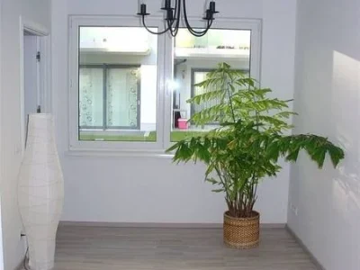 Helles Zimmer mit Zimmerpflanze im Hintergrund